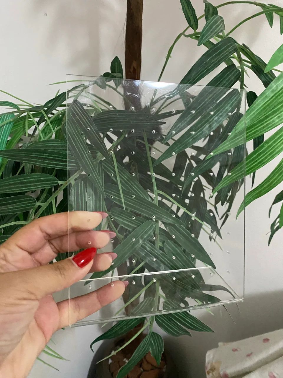 Expositores  - Foto 4