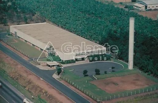 prédio - Real Parque - Campinas