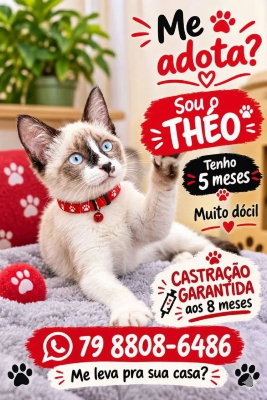 FILHOTES FOFOS - Foto 3
