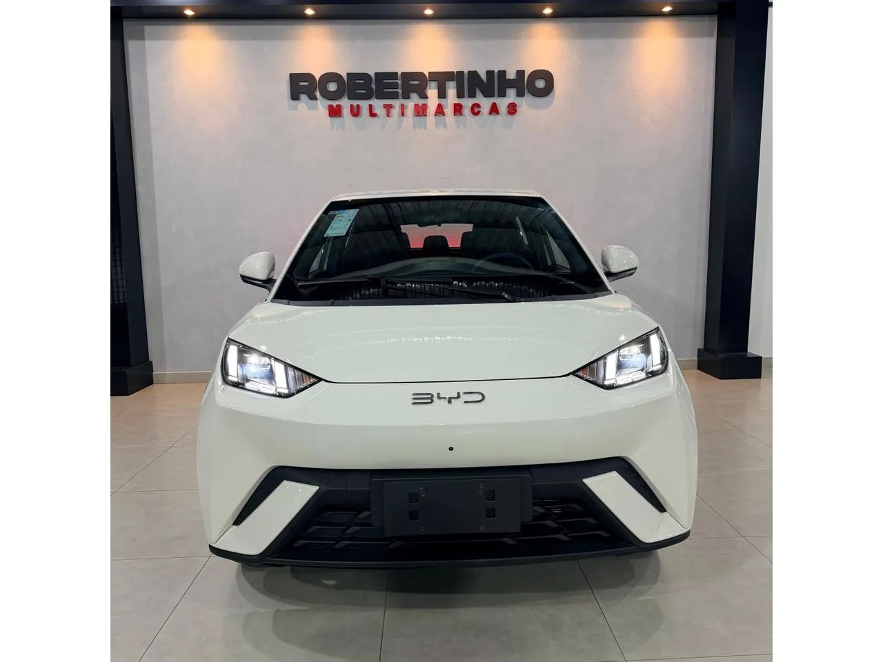 BYD Dolphin Mini (Elétrico) 2027 - Foto 2
