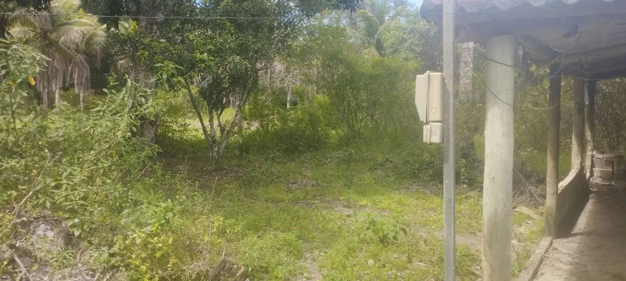 VENDE-SE Sítio/Chácara  - Foto 2