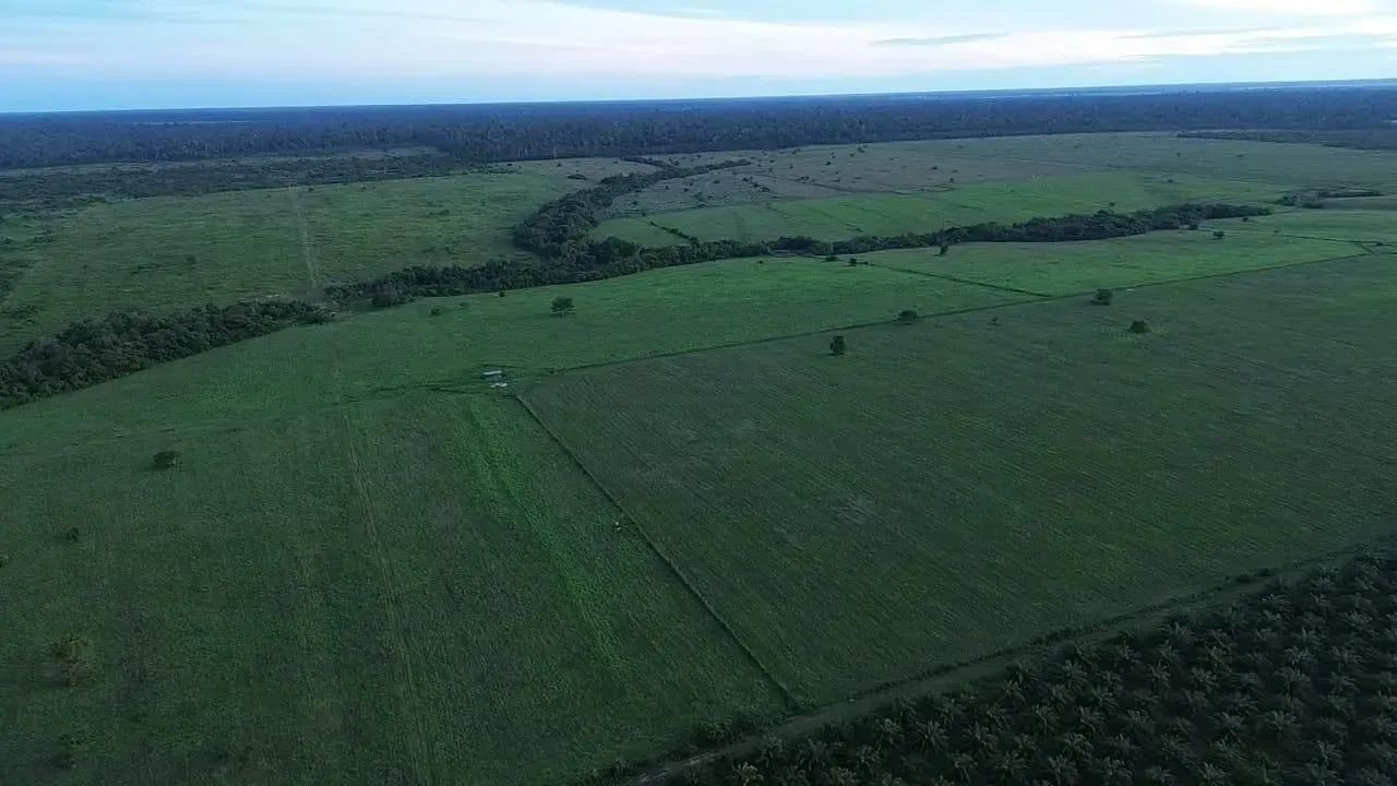 FAZENDA 4.500 HECTARES TAILÂNDIA/TOME AÇÚ - Foto 8