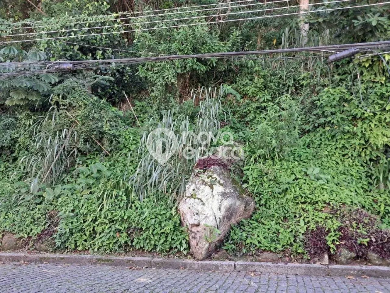 Laranjeiras | Terreno