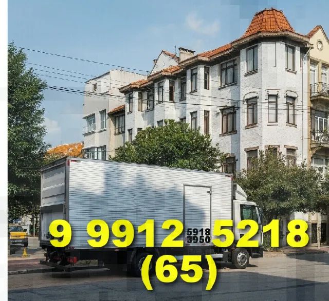 Frete bau/Mudança: motorista experiente