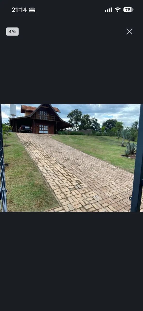 Podas de árvores  - Foto 3