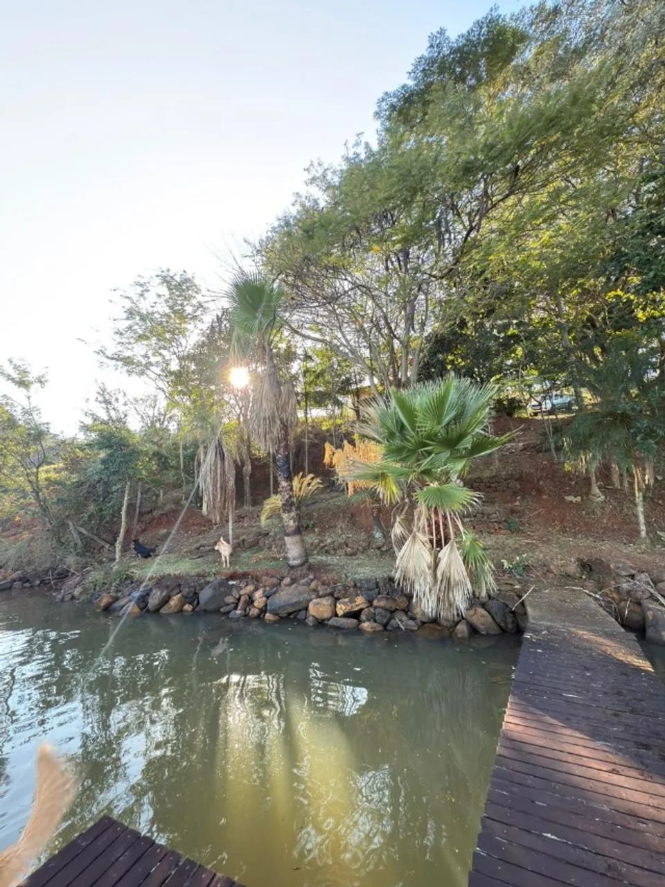 TERRENO COM CASA - Foto 2