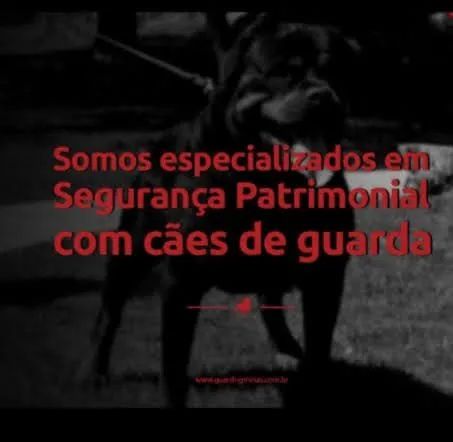 Aluguel de cães de guarda - Foto 2
