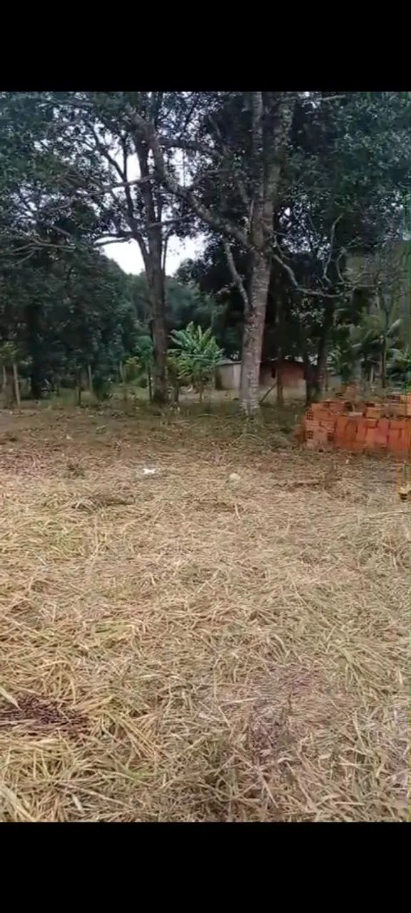 Terreno com energia e poste padrão ligado  - Foto 3