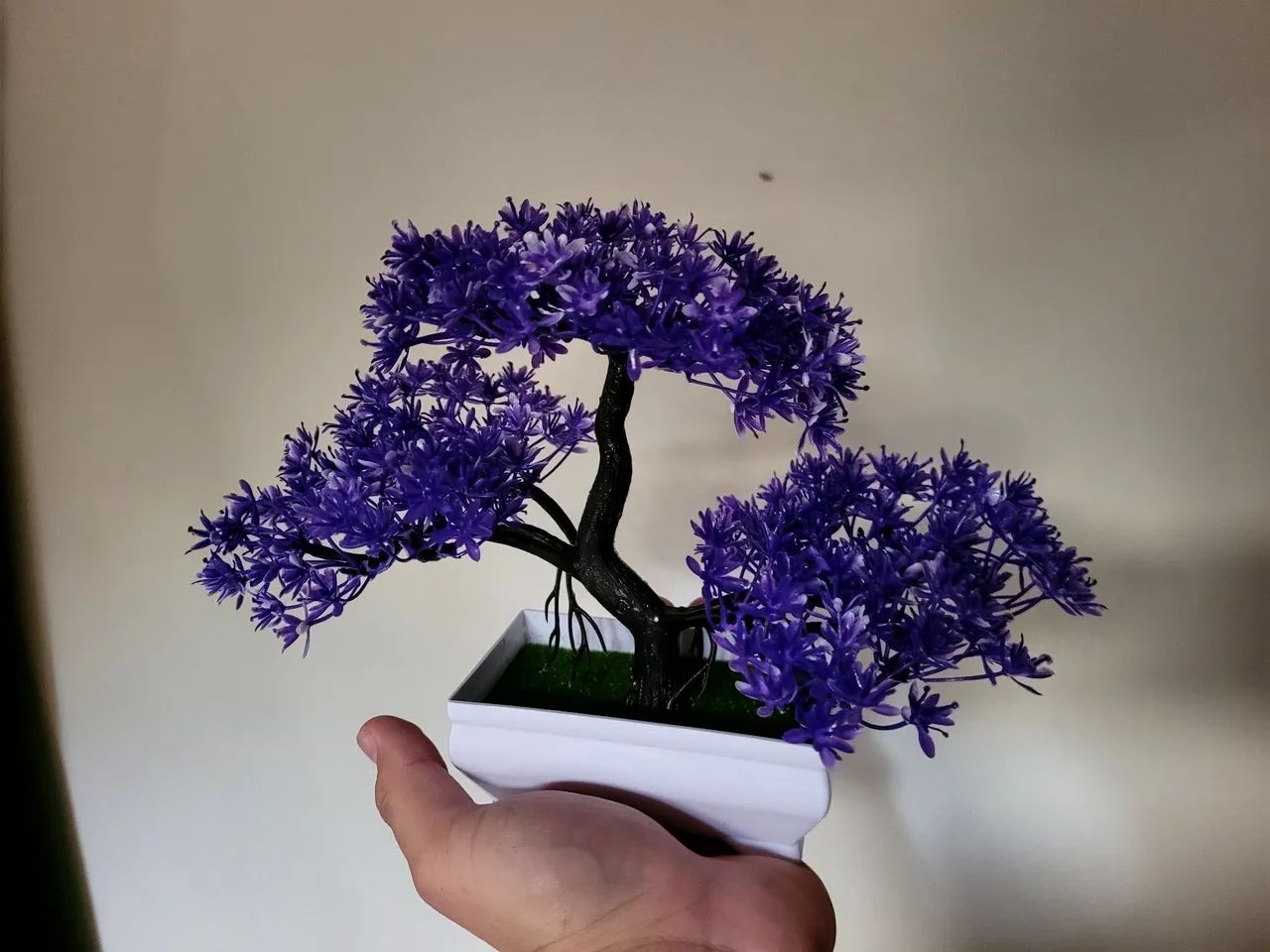 Bonsai's Lindos Decoração - Foto 2