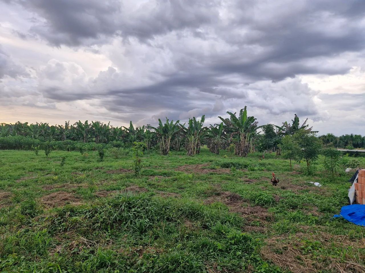 Vende se lote 60 hectares, na vicinal 16 km 7, próximo a Vila nova colina - Foto 3