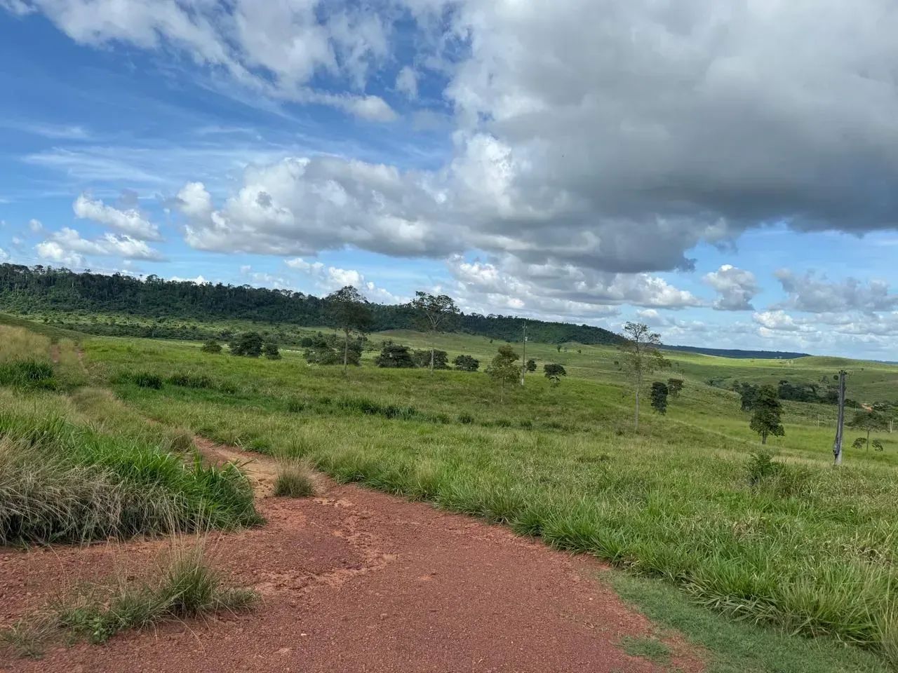 Fazenda Próximo a Marabá - Foto 4