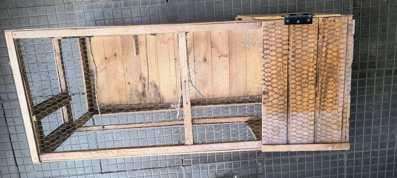 Viveiro gaiola - Foto 3