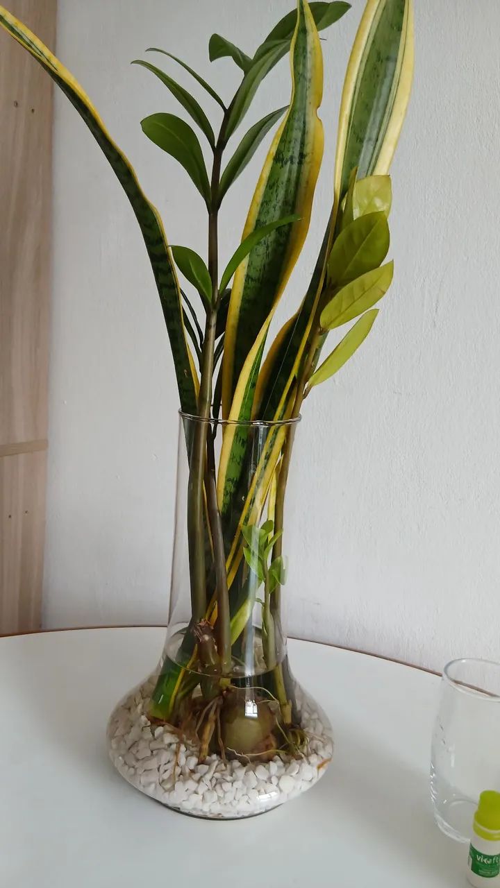 Vaso de vidro 