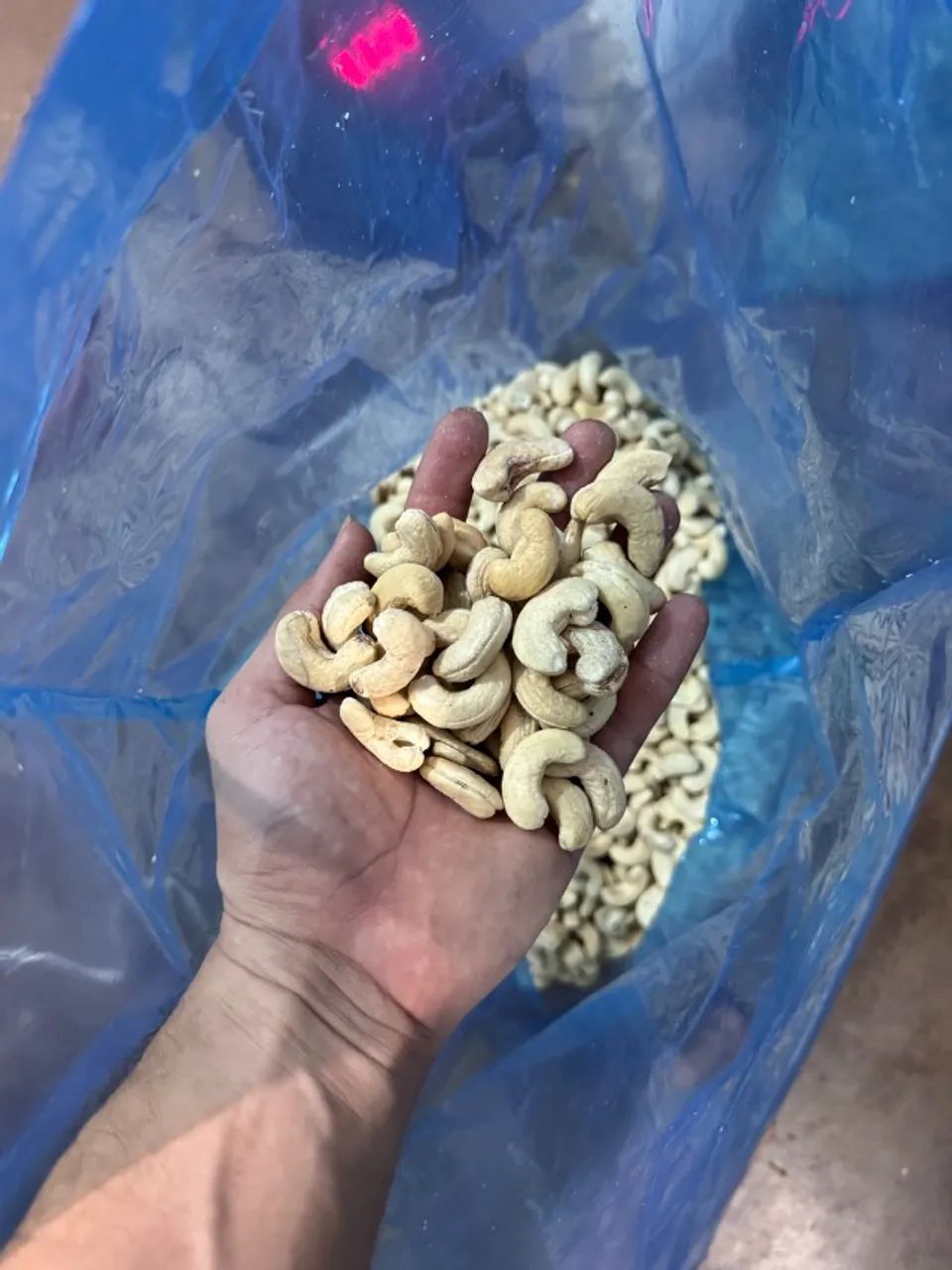 Castanha de caju