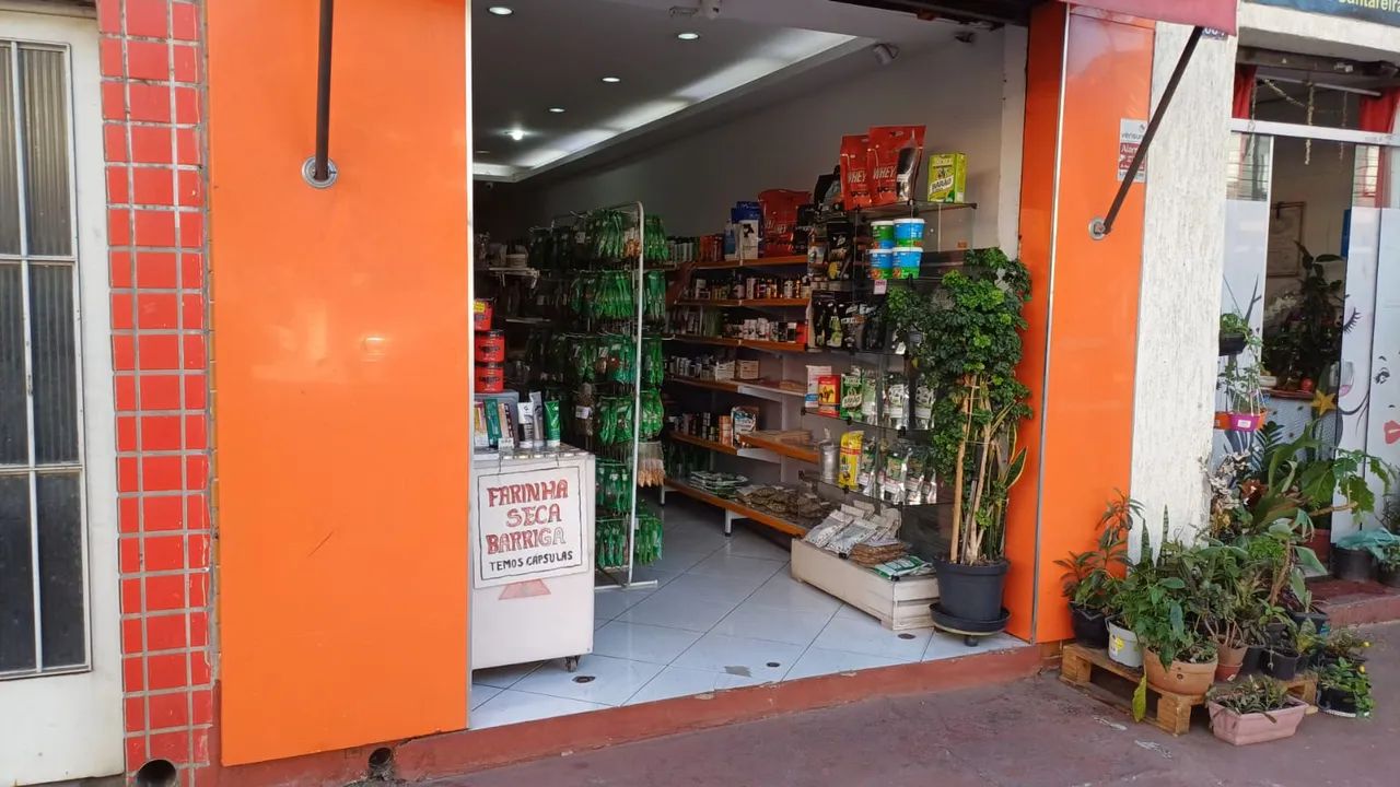 Imóvel Comercial/Residencial - Foto 4