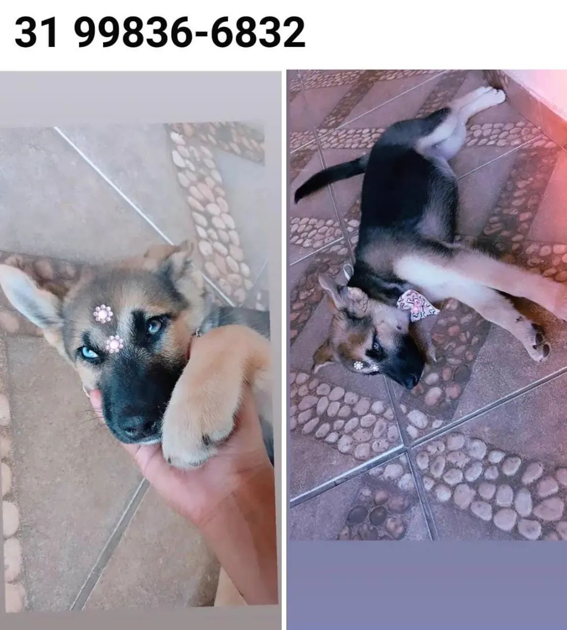 Vendo!!!