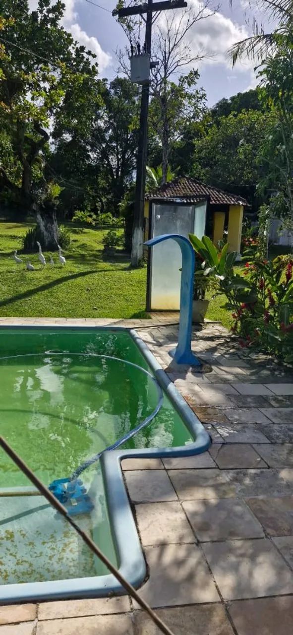 Sítio localizado em Moreno-Pe - Foto 15