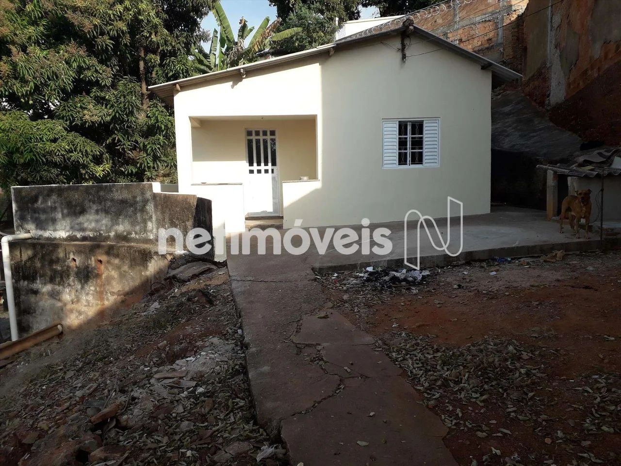 Venda Barracão Graça Belo Horizonte - Foto 3