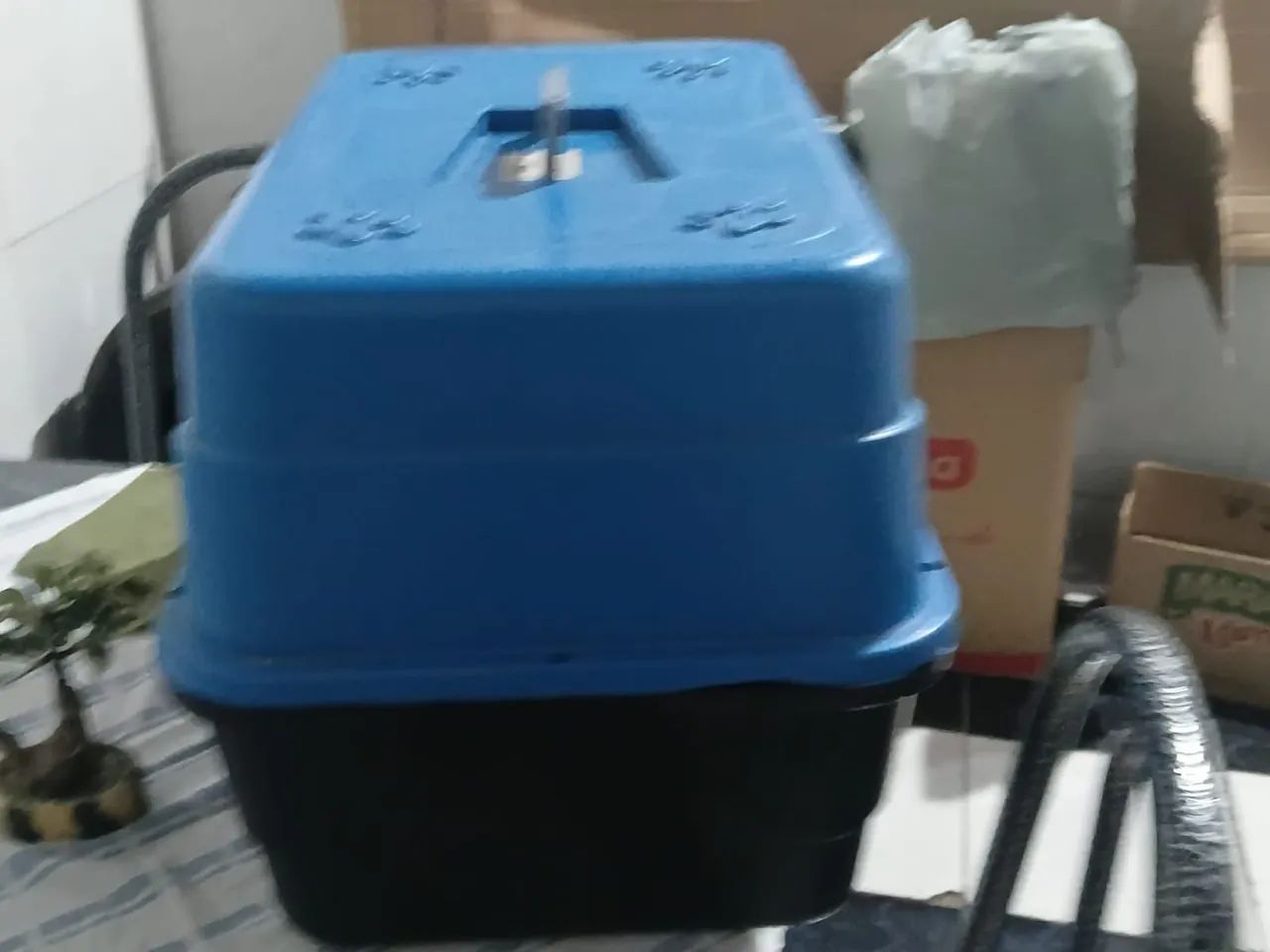 Caixa para trasporte de animais  - Foto 4
