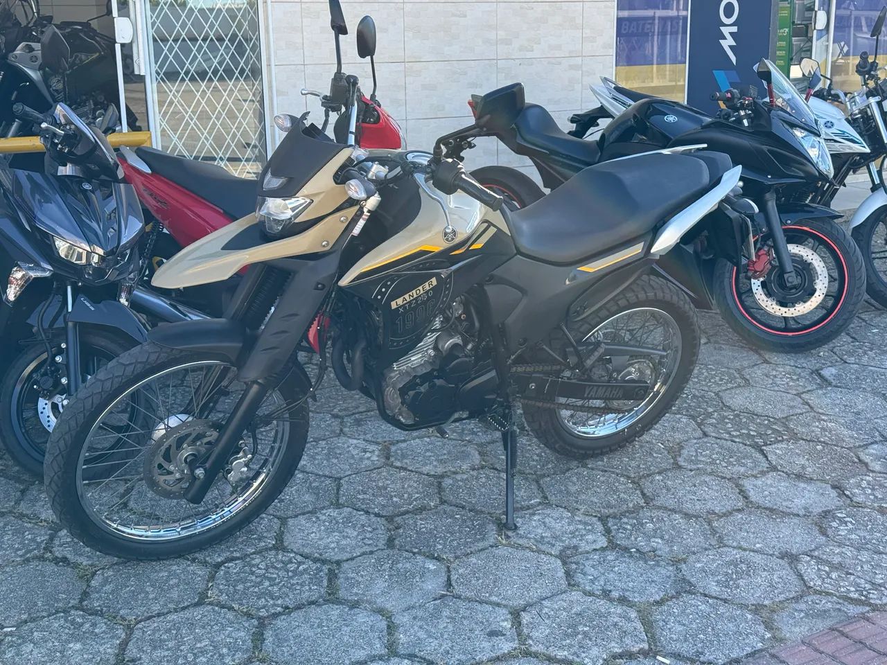 Yamaha Lander 250 2023 - Foto 3