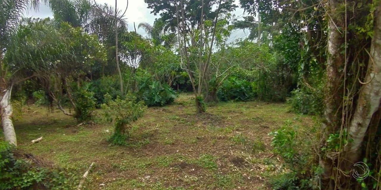 Terreno para Venda em Florianópolis, Morro das Pedras - Foto 4