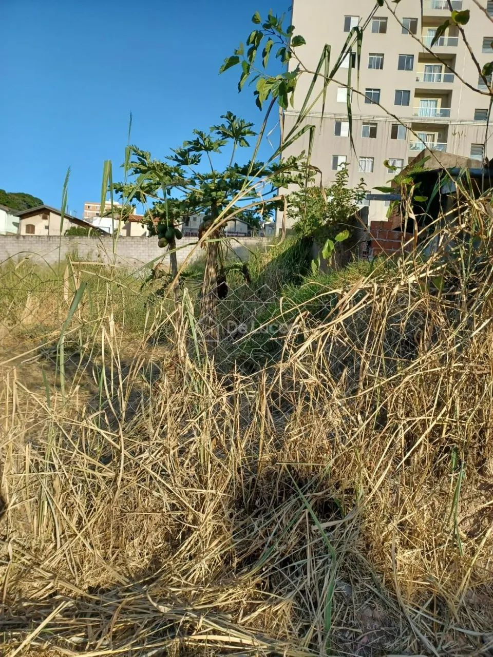 terreno - Ponte Preta - Campinas - Foto 4