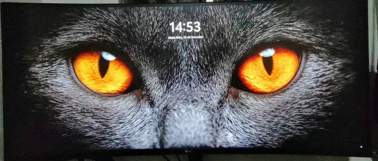 Monitor LG QHD 2k 34 polegadas 