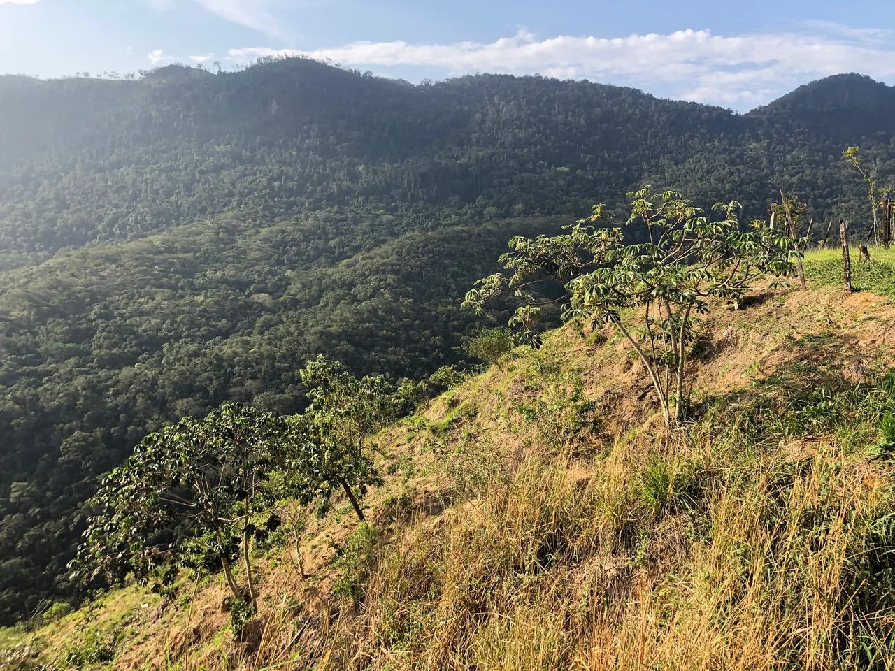TERRENO EM JAPERI - Foto 4
