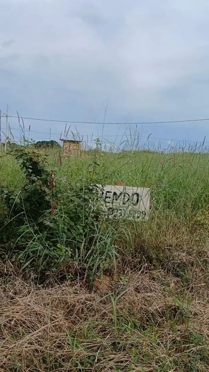 Terreno  - Foto 5