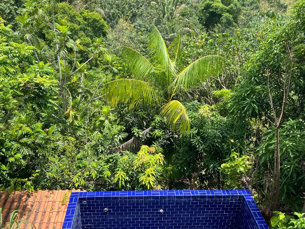 Foto - Salvador - Canela