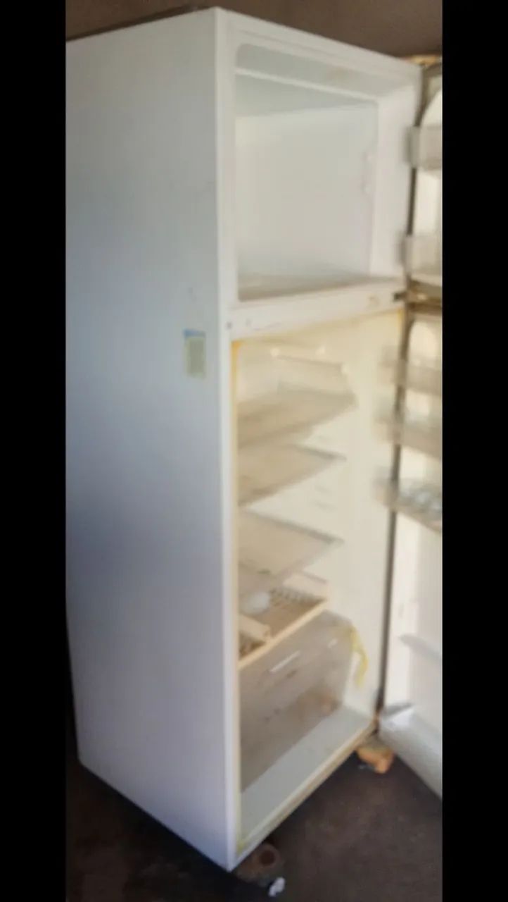 Geladeira Electrolux duplex 
