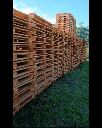 Madeira de qualidade resistente a água  - Foto 2