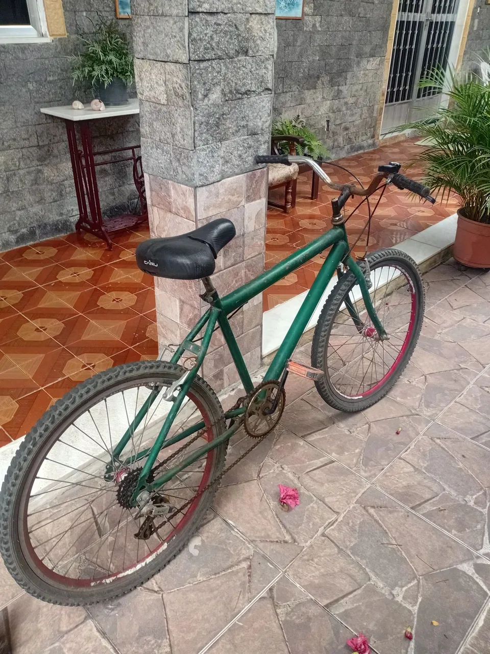 Bicicleta  - Foto 2