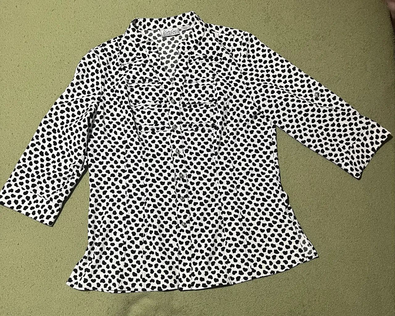 Blusa