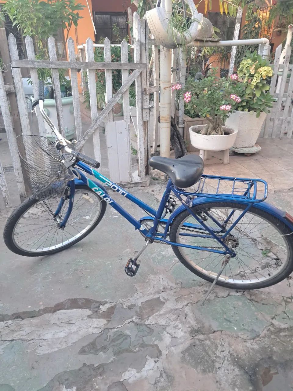 Bicicleta