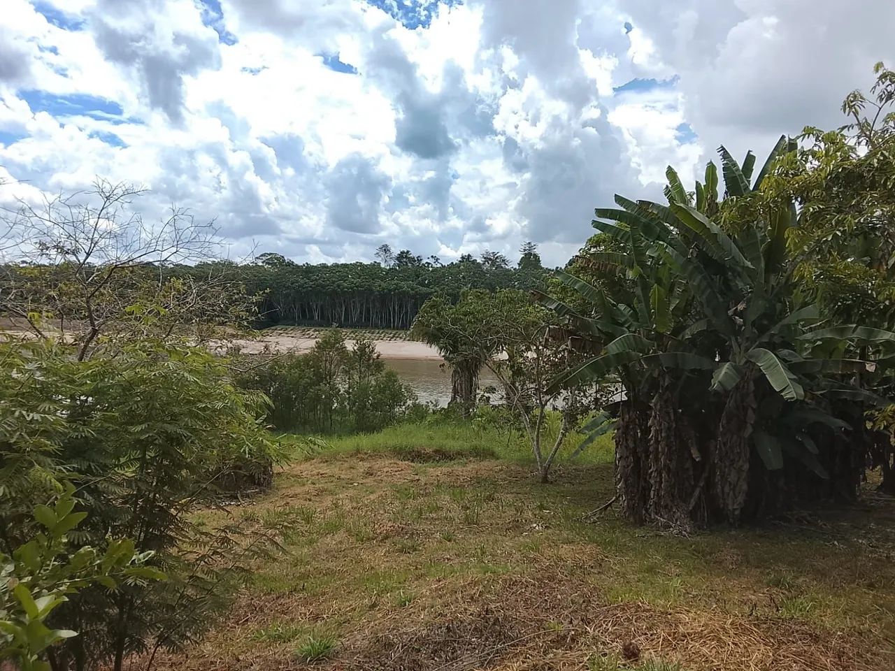 Chácara em Tarauacá - Foto 3
