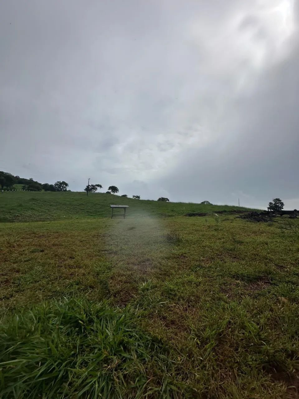 Fazenda Faina-go - Foto 4