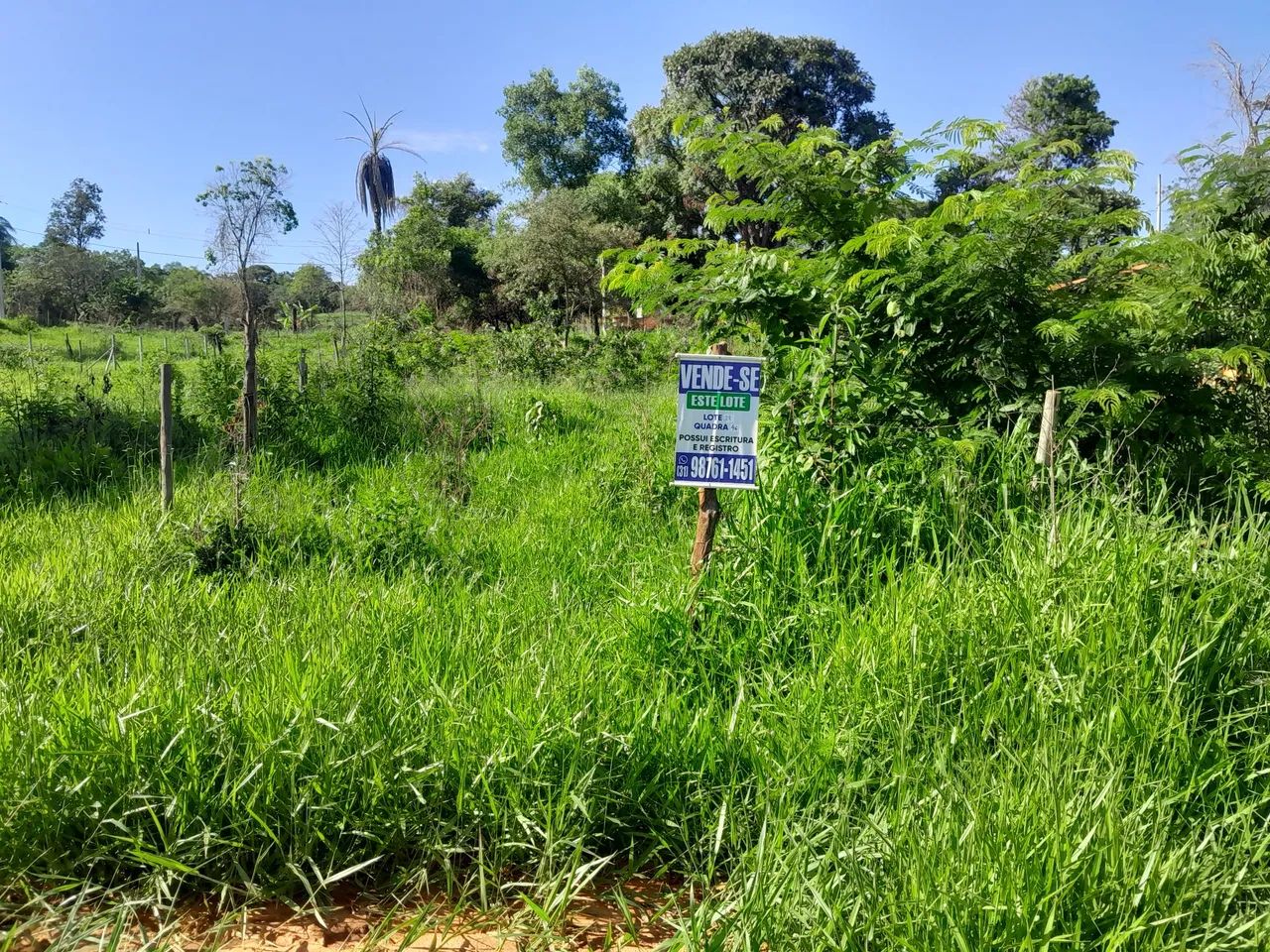 Lotes no bairro paraíso em mateus leme 