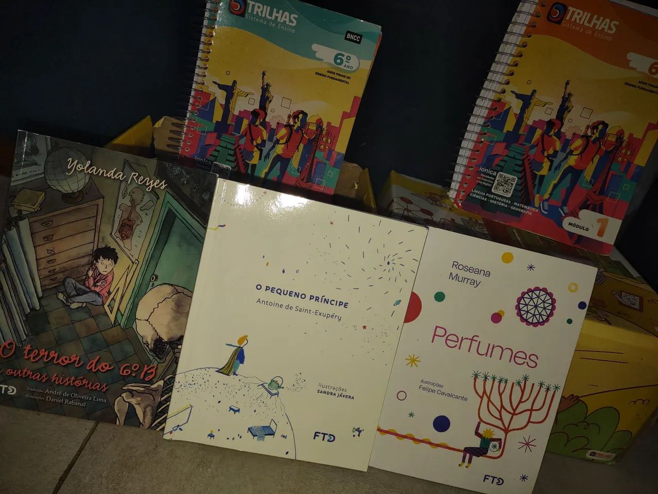 Vende se livros de didáticos da editora FTD Trilhas sistema de ensino 