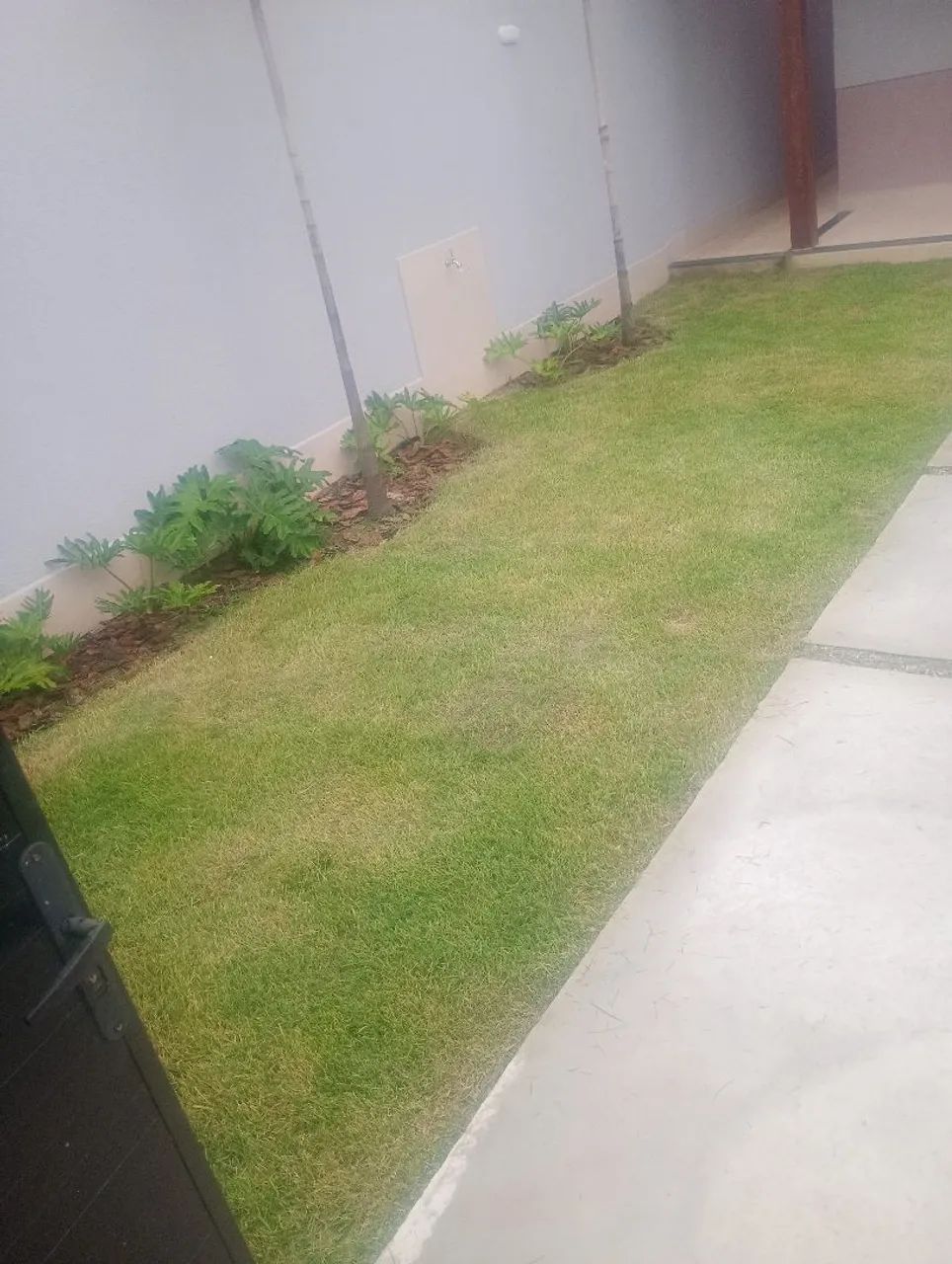 Corte de grama e jardinagen