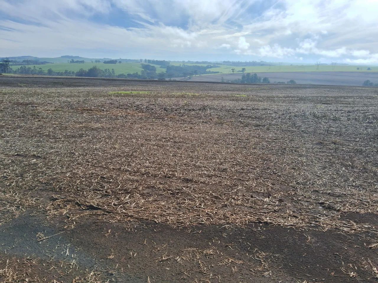 Fazenda  - Foto 4