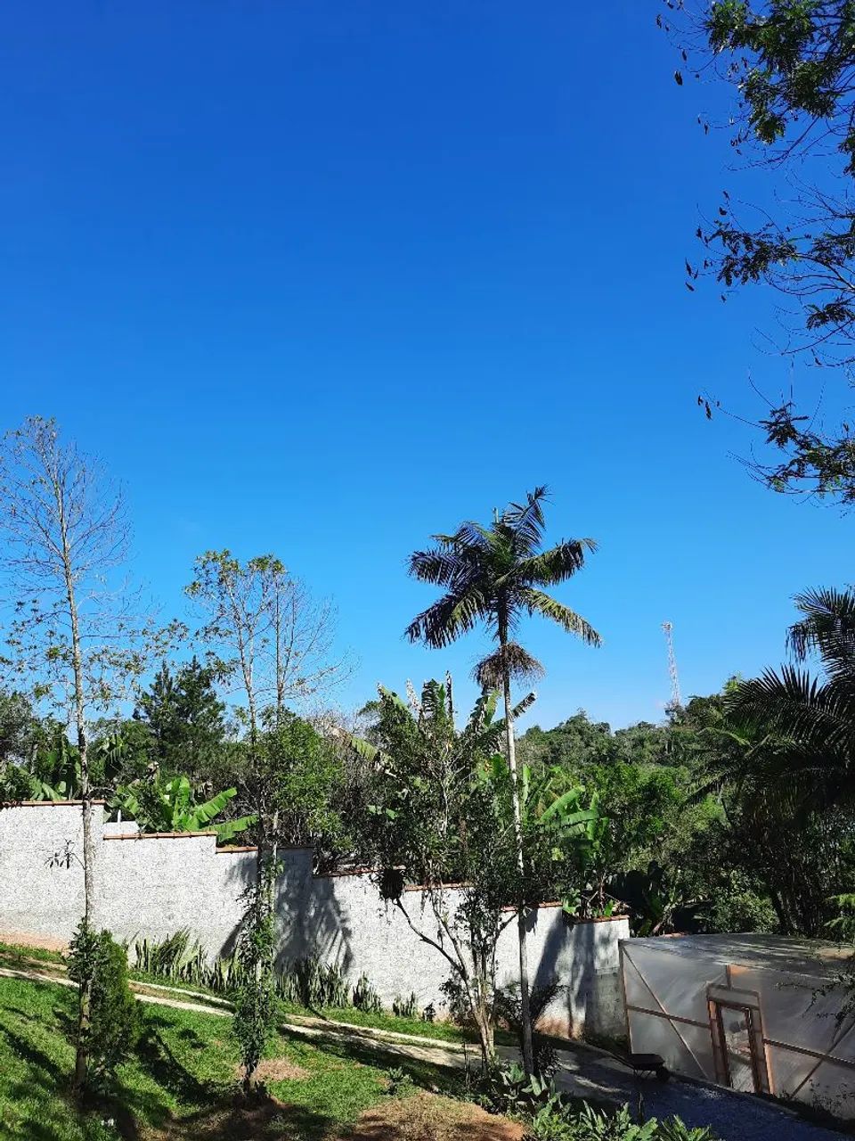 Oportunidade em Embu-Guaçu! Chácara de 600m² com Estufa - Foto 4