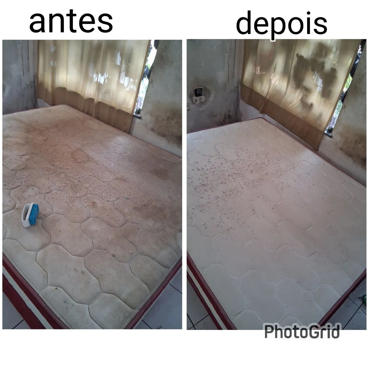 Antonio Higienização de Estofados 2.0