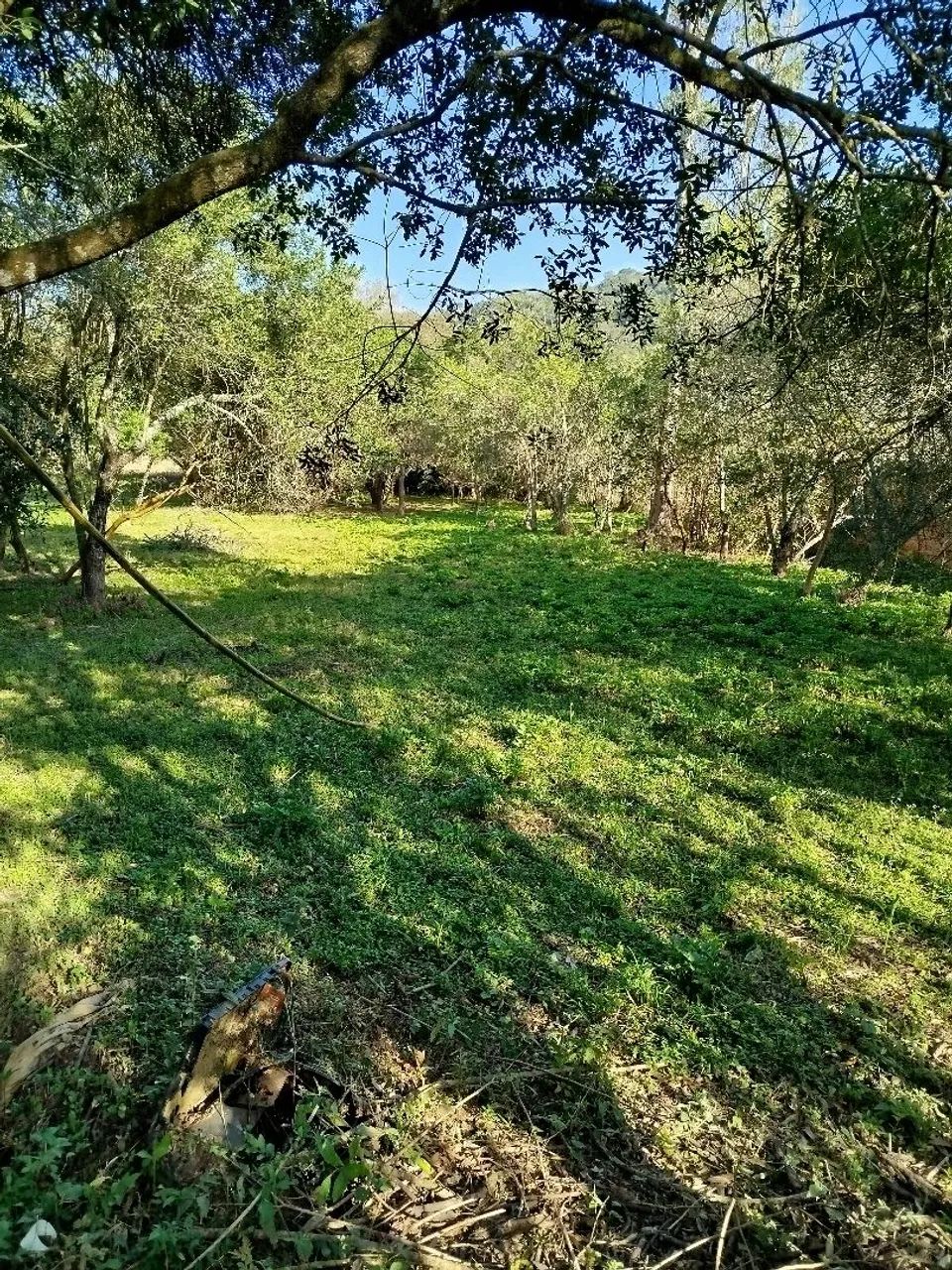 Vende se  - Foto 2