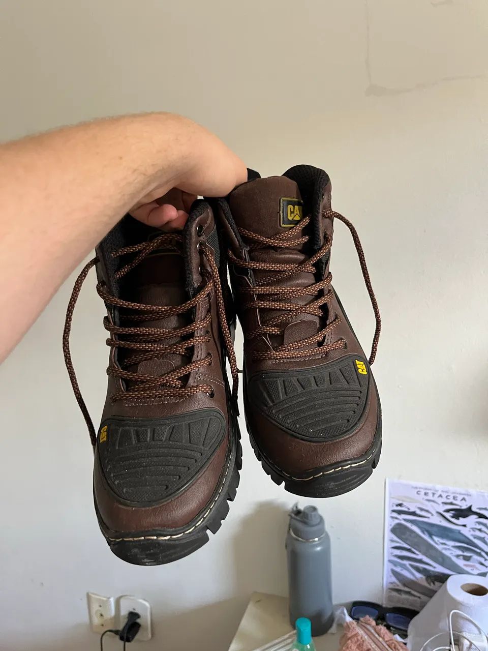 Bota 