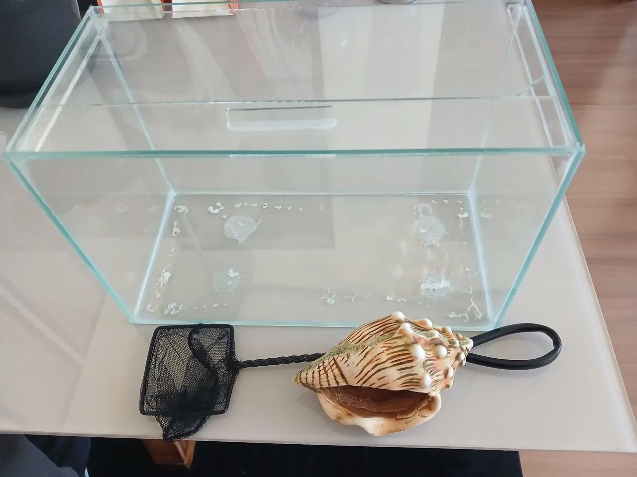 Kit Aquário de Vidro 9L com Tampa + Redinha e Concha Decorativa - Foto 2