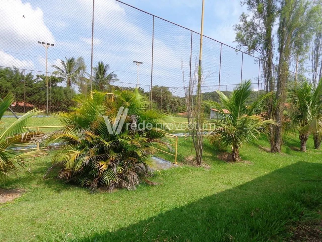 sítio - Sousas - Campinas - Foto 3