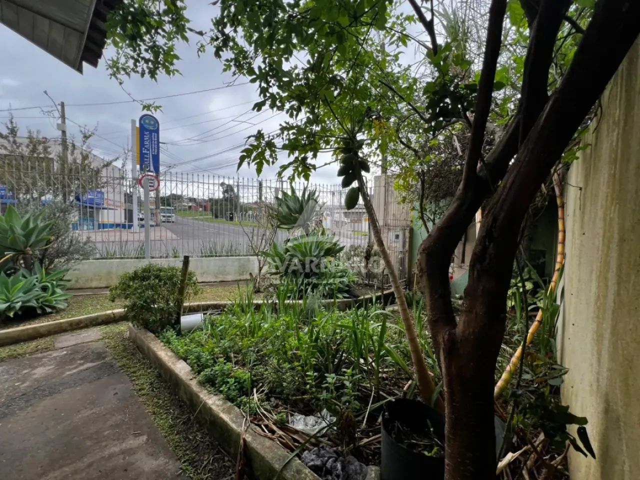 Casa Comercial de esquina Boa Vista - Foto 5