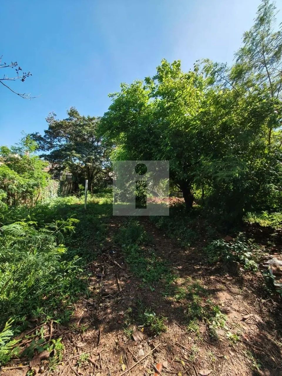 TERRENO PLANO A VENDA EN SOUSAS - 541M² - Foto 2