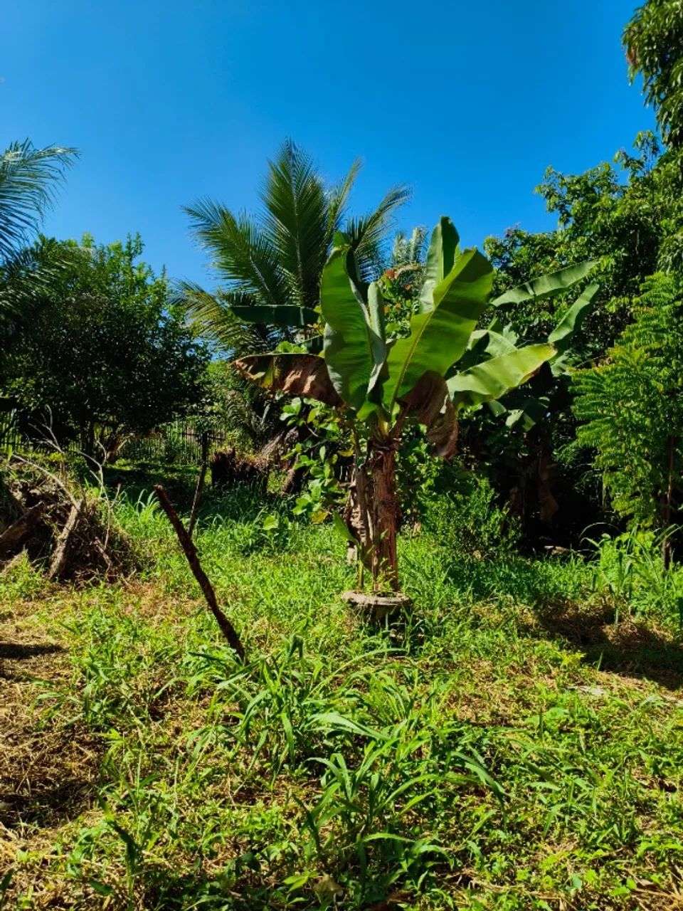 Terreno 10x30 - Foto 4